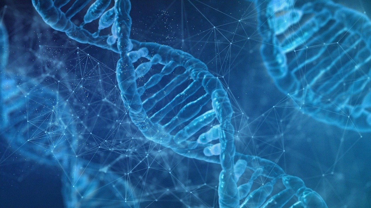 dna, biology, the science, laptop wallpaper, dna helix, wallpaper 4k, mac wallpaper, desktop backgrounds, 4k wallpaper 1920x1080, protein, molecule, wallpaper hd, free wallpaper, molecular structure, chromosome, spiral, microbiology, full hd wallpaper, deoxyribonucleic acid, 3d, isolated, the medicine, gene, cool backgrounds, beautiful wallpaper, free background, genetics, hd wallpaper, 4k wallpaper, genetic material, laboratory, wallpaper, 4k, 3d wallpapers, to provide, windows wallpaper, fantasy wallpaper